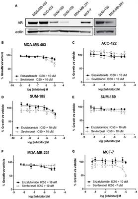 Seviteronel, a Novel CYP17 Lyase Inhibitor and Androgen Receptor Antagonist, Radiosensitizes AR-Positive Triple Negative Breast Cancer Cells